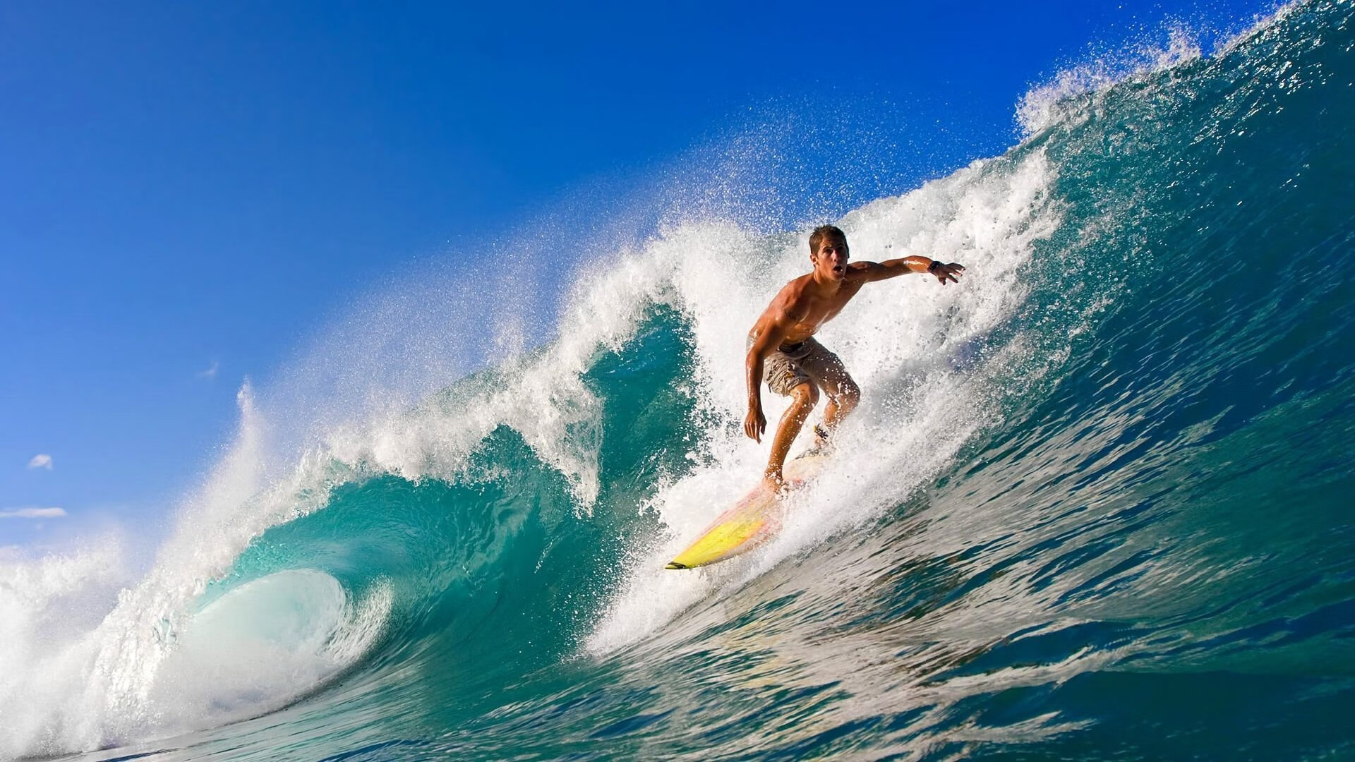 Jiu You-中美200蝶出发反应时间差异缩小