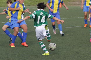 九游APP官网-中国足球高密度传控战术回合成功统计，中国足球高密度传控战术回合成功统计