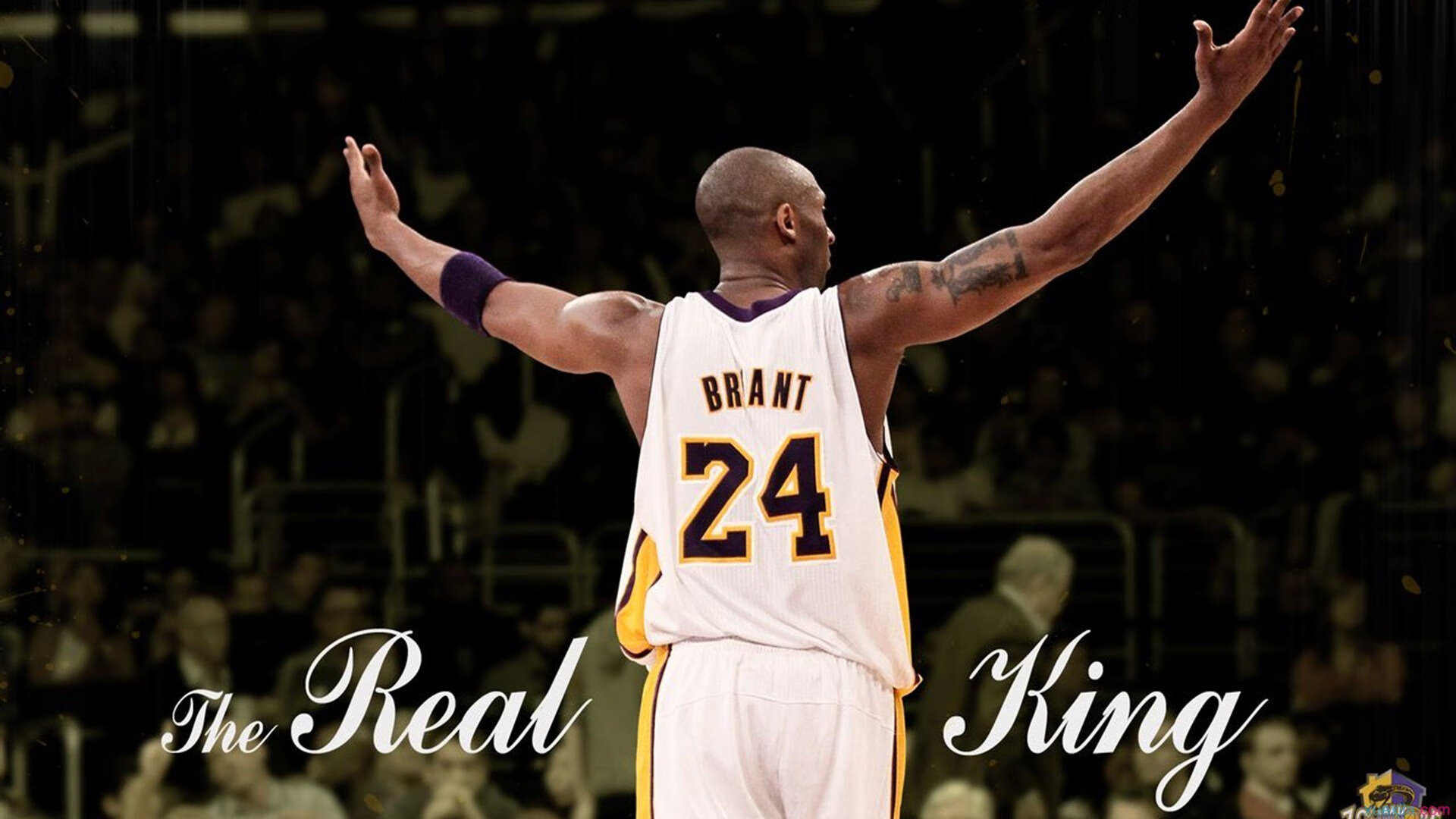 体育心理学：冠军心理打造的秘密武器，体育心理学 季浏