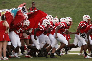 九游电脑版-青少年体育社团快速发展 激发校园活力，体育社团开展